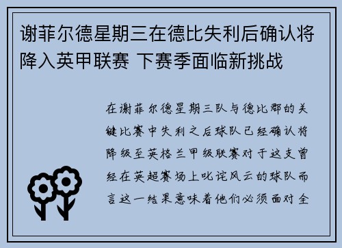 谢菲尔德星期三在德比失利后确认将降入英甲联赛 下赛季面临新挑战